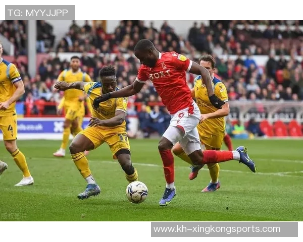 杨芳独家分享篮球技巧与欧冠足球赛事分析的深度见解